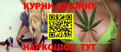 сатива Кунгур