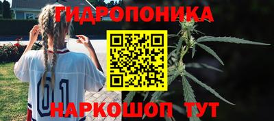 молекула духа Кулебаки