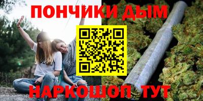 сатива Кунгур