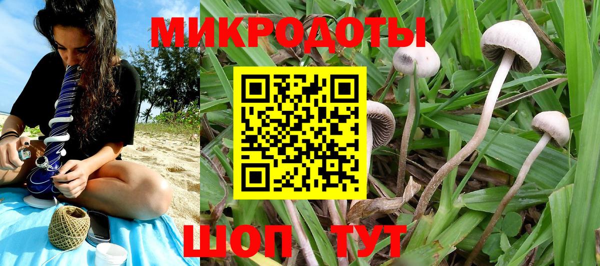 Псилоцибиновые грибы прущие грибы Балтийск