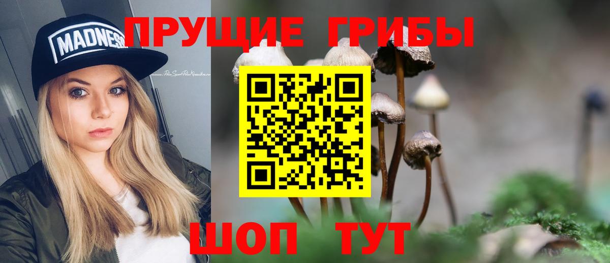 Балтийск  Псилоцибиновые грибы ЛСД  Псилоцибиновые грибы GOLDEN TEACHER  Вход с VPN 